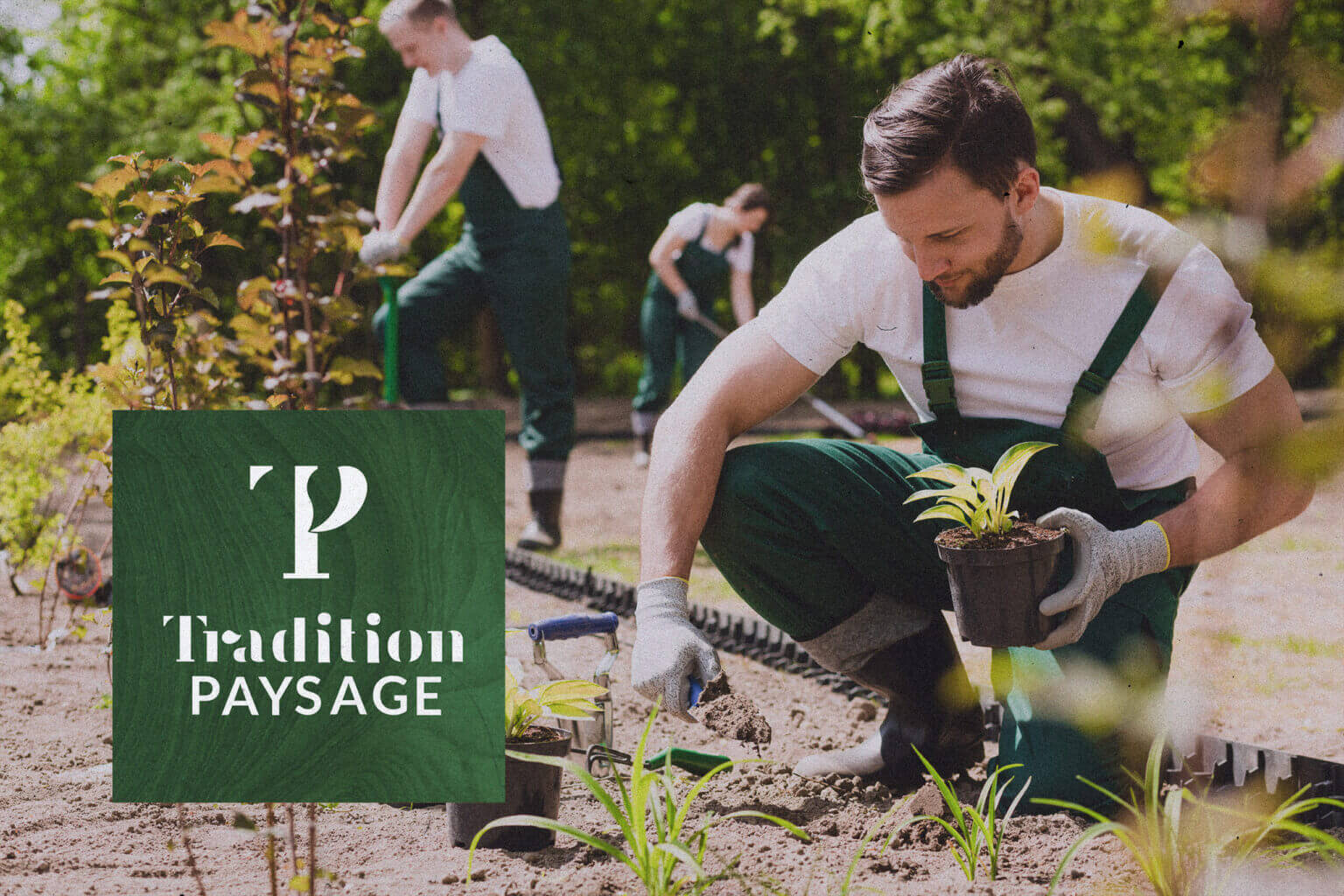 Photo du projet d’identité visuelle pour Tradition Paysage, entreprise de paysagisme